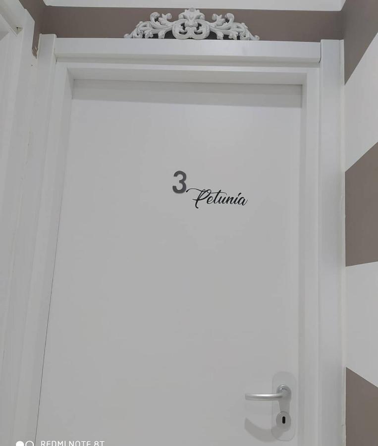 Le Camere Dei Fiori San Remo Buitenkant foto